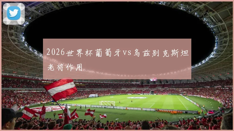 2026世界杯葡萄牙vs乌兹别克斯坦老将作用