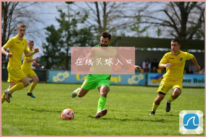 在线买球入口