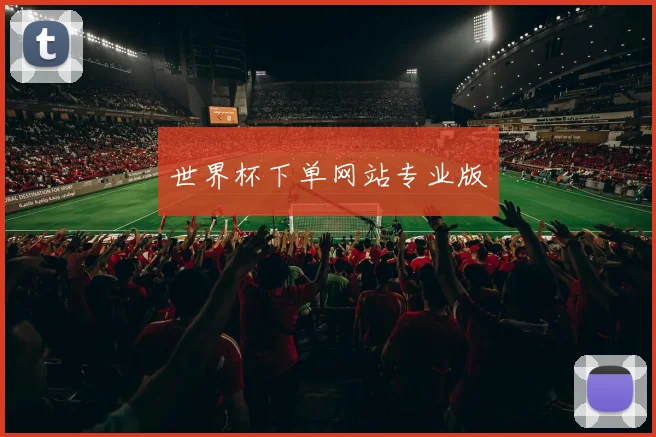 世界杯下单网站专业版