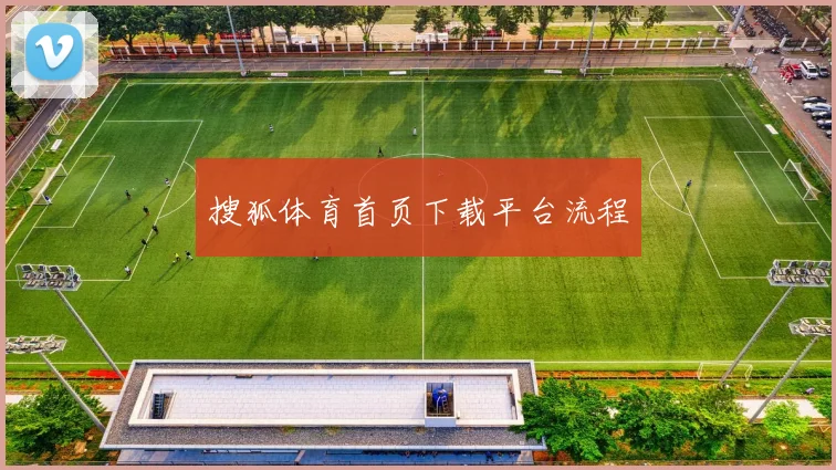 搜狐体育首页下载平台流程