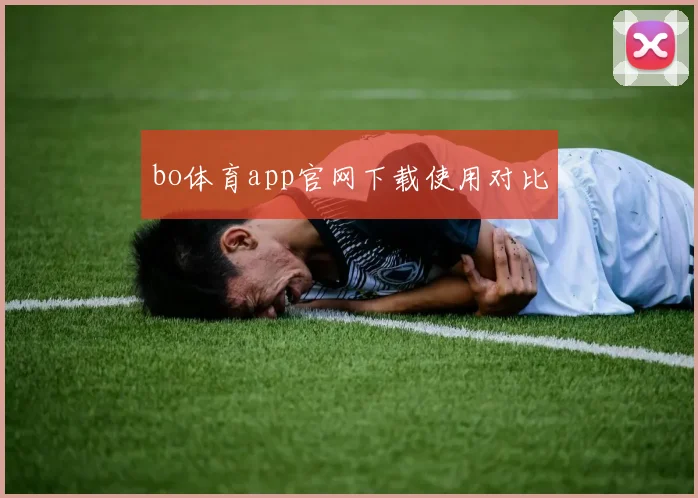 bo体育app官网下载使用对比