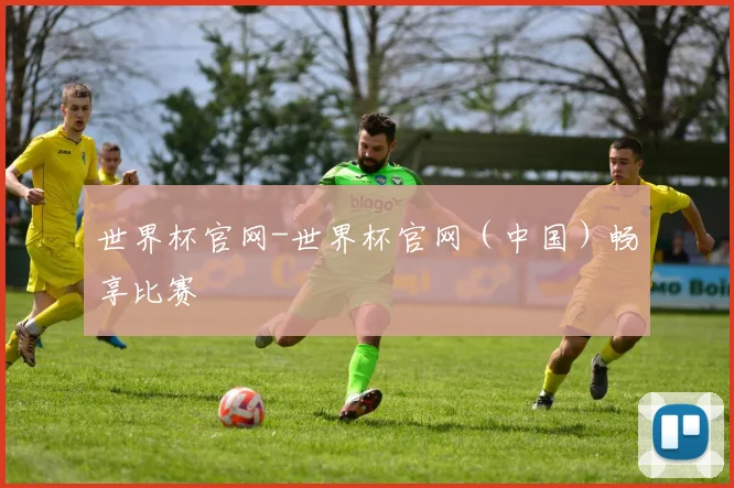 世界杯官网-世界杯官网（中国）畅享比赛
