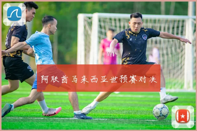 阿联酋马来西亚世预赛对决