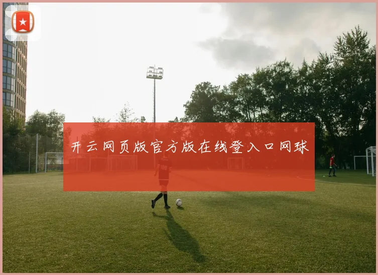 开云网页版官方版在线登入口网球