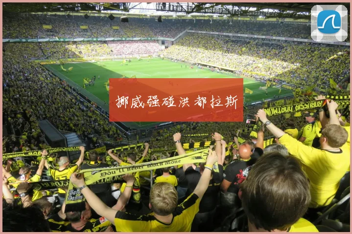 挪威强碰洪都拉斯