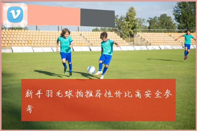 新手羽毛球拍推荐性价比高安全参考