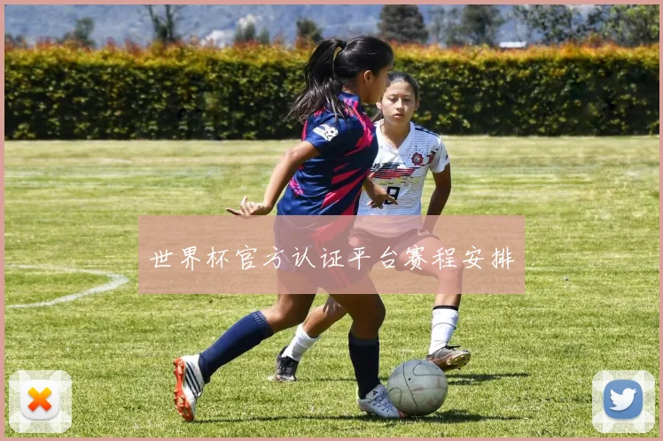 世界杯官方认证平台赛程安排