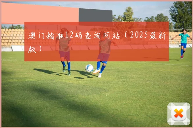 澳门精准12码查询网站（2025最新版）