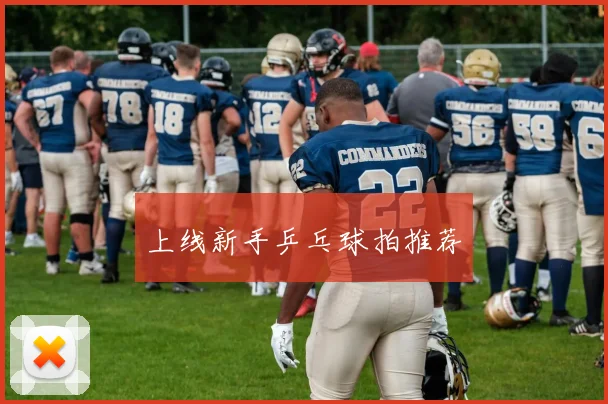 上线新手乒乓球拍推荐