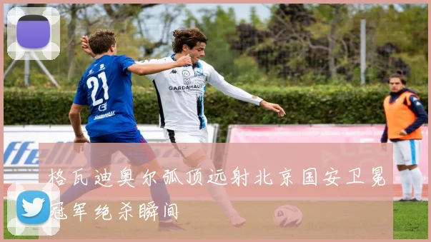 格瓦迪奥尔弧顶远射北京国安卫冕冠军绝杀瞬间