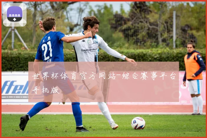世界杯体育官方网站-综合赛事平台手机版