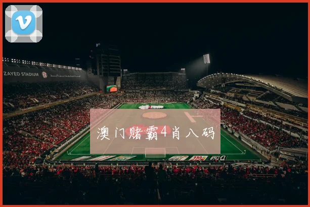 澳门赌霸4肖八码