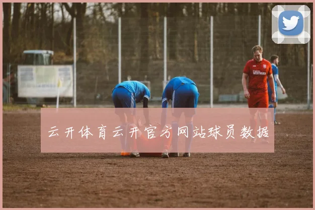 云开体育云开官方网站球员数据