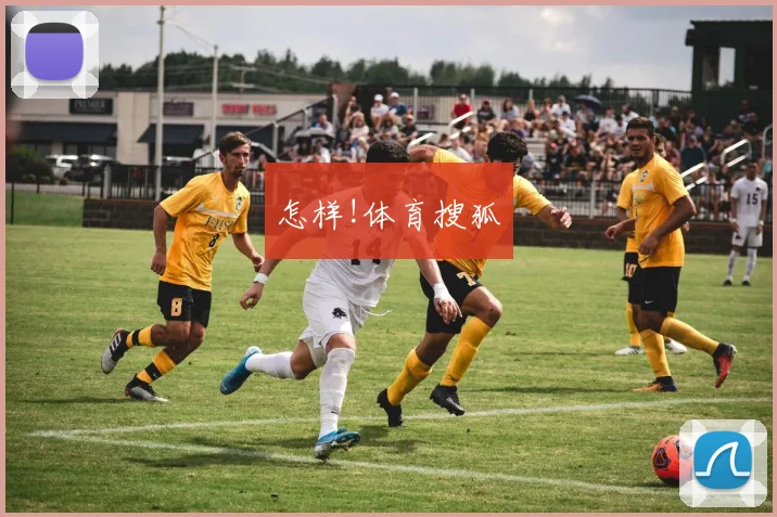 怎样!体育搜狐