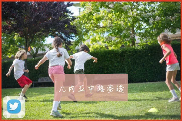 几内亚中路渗透