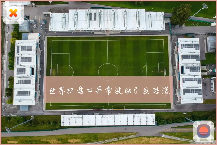 世界杯盘口异常波动引发恐慌