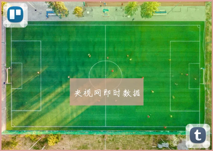 央视网即时数据