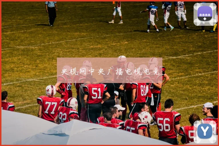央视网中央广播电视电竞