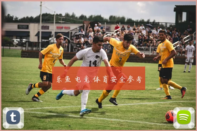 乐鱼 电竞 体育安全参考
