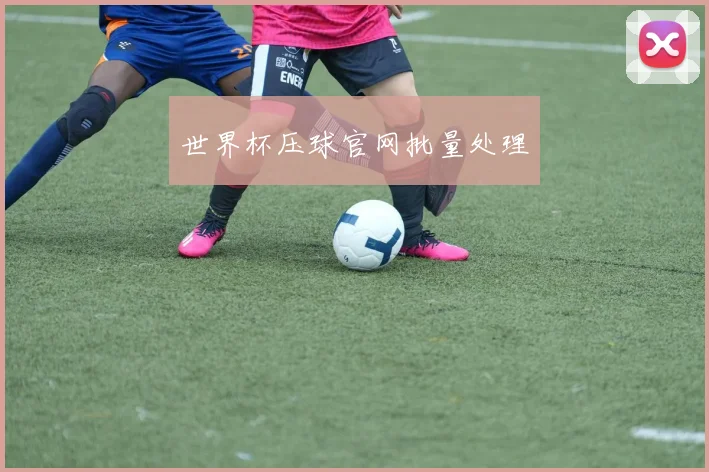 世界杯压球官网批量处理