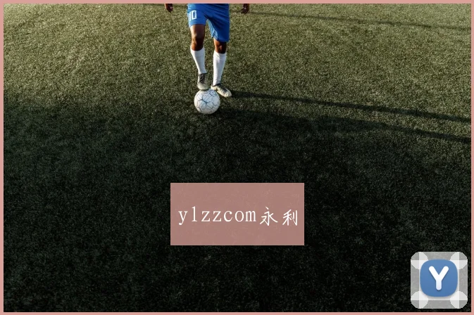 ylzzcom永利