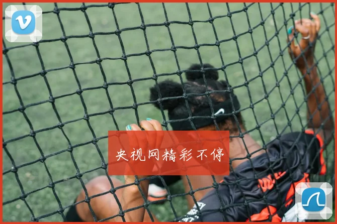 央视网精彩不停