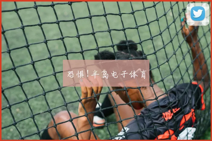 恐惧!半岛电子体育