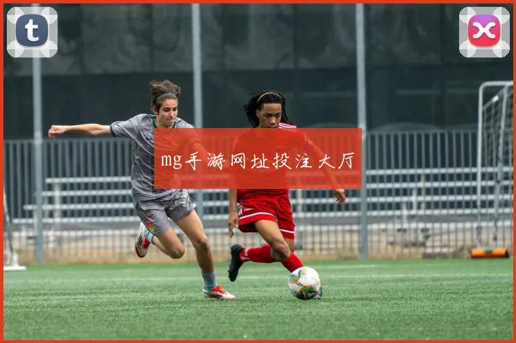 mg手游网址投注大厅