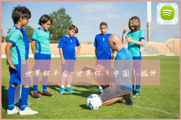 世界杯平台-世界杯（中国）插件