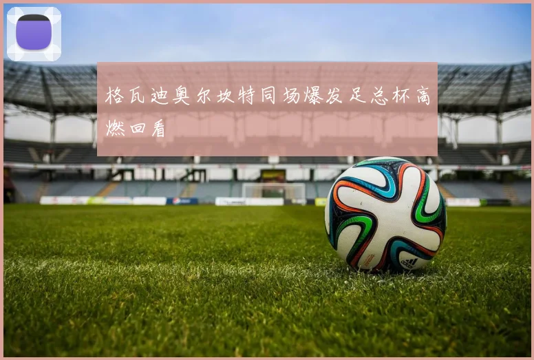 格瓦迪奥尔坎特同场爆发足总杯高燃回看