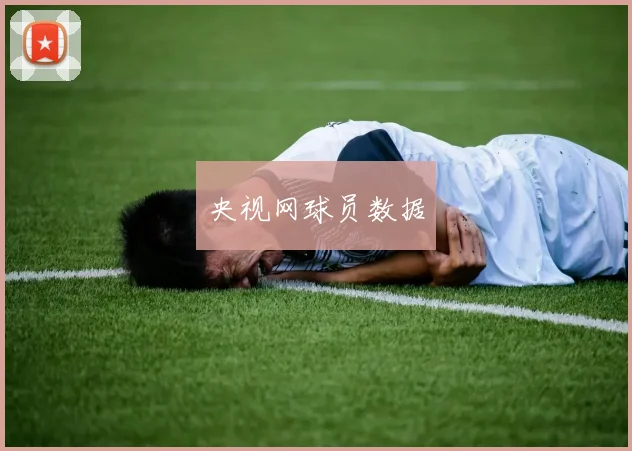 央视网球员数据