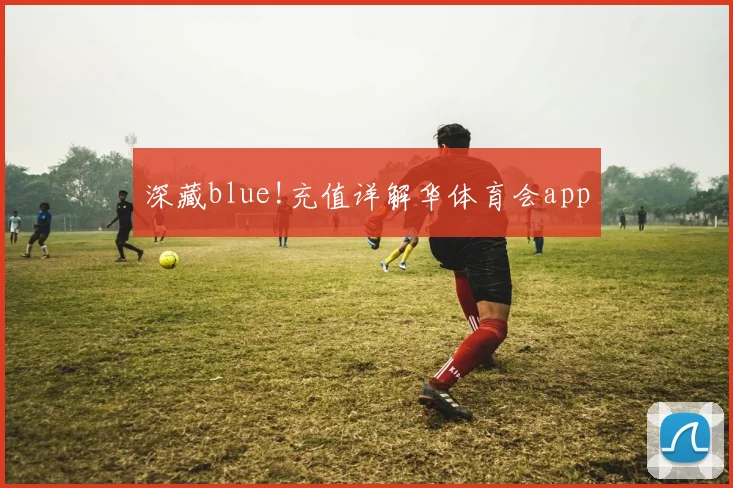 深藏blue!充值详解华体育会app