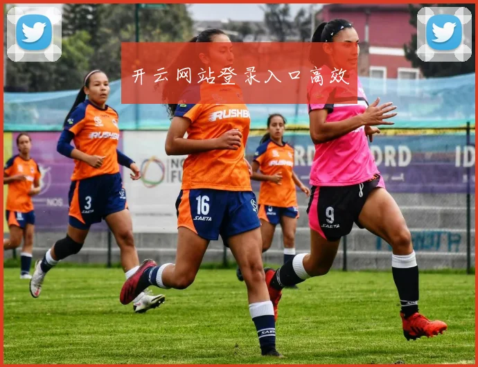 开云网站登录入口高效