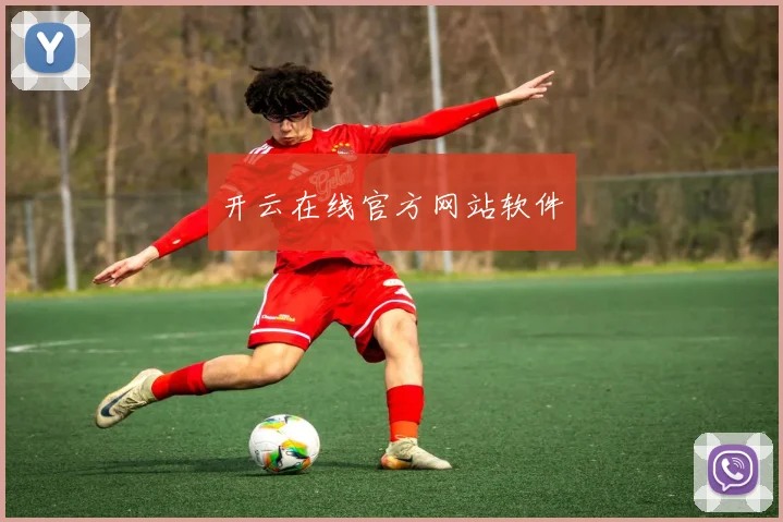 开云在线官方网站软件