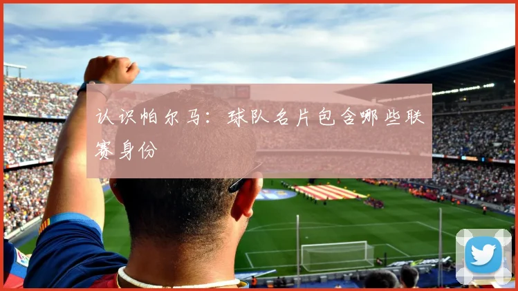 认识帕尔马：球队名片包含哪些联赛身份