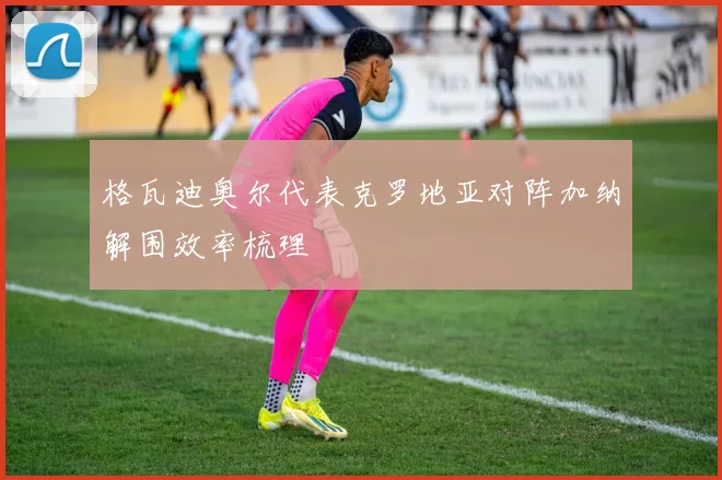 格瓦迪奥尔代表克罗地亚对阵加纳解围效率梳理