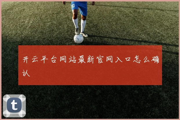 开云平台网站最新官网入口怎么确认